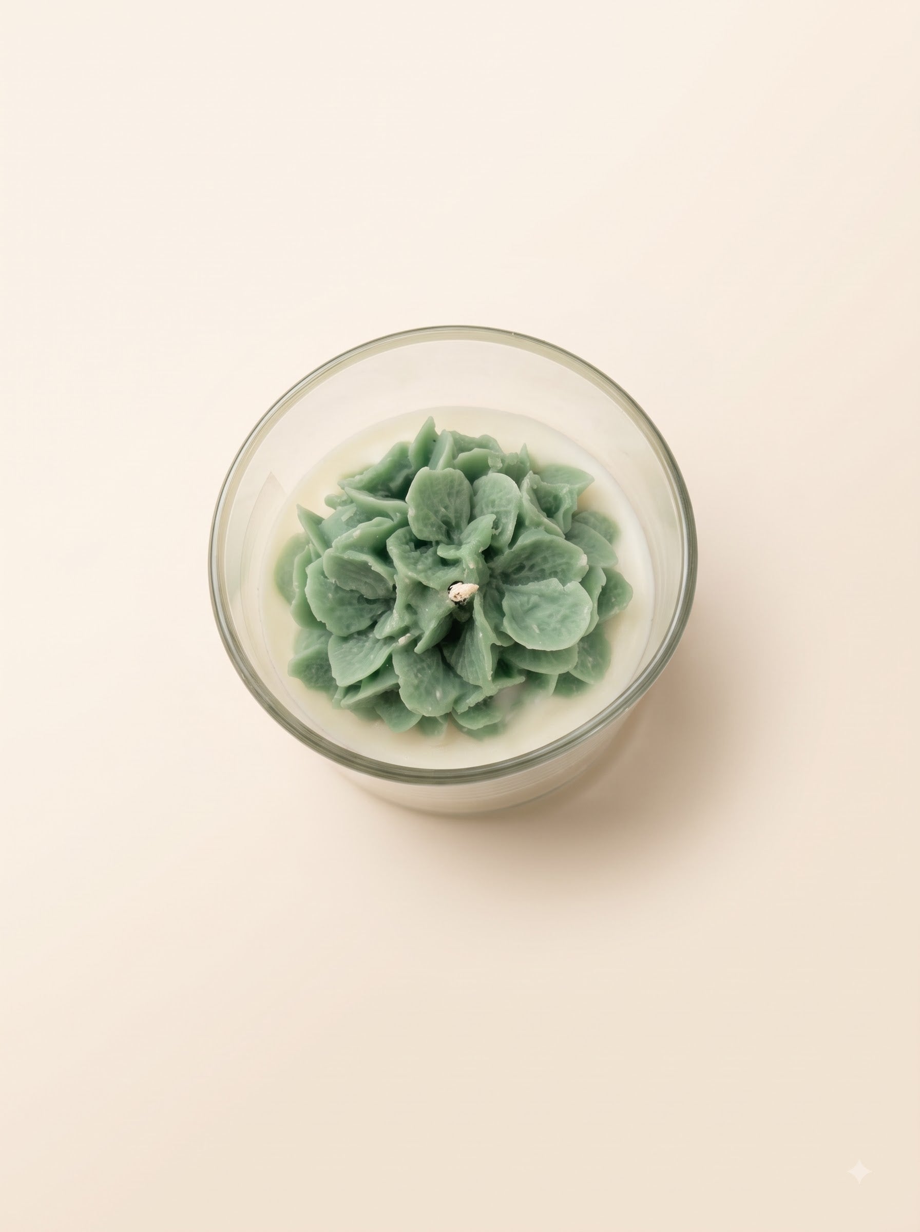 The Blush Petal