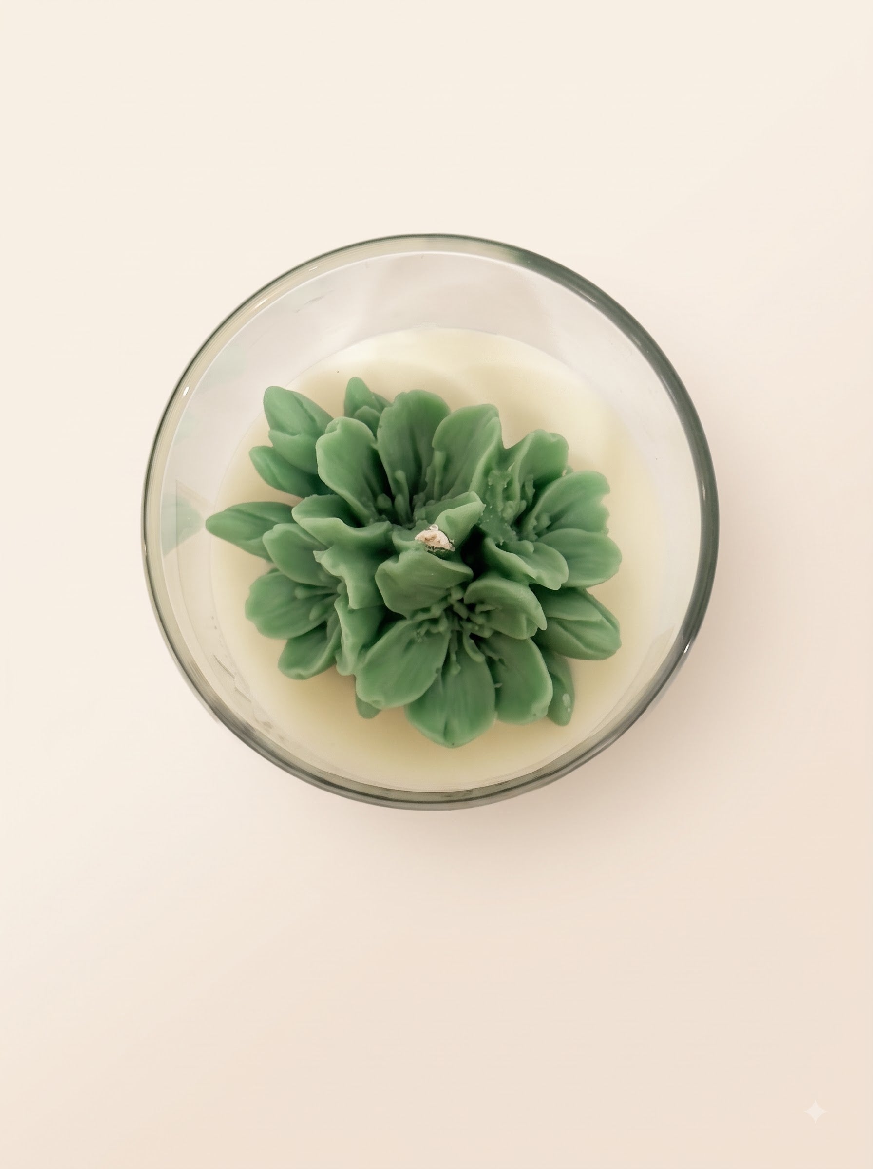 The Blush Petal
